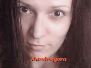 Mandragora Livespot