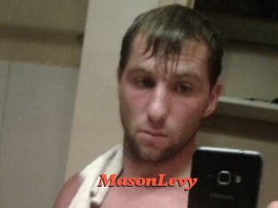 Mason_Levy