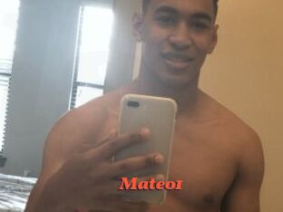 Mateo1