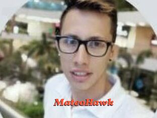 MateoHawk