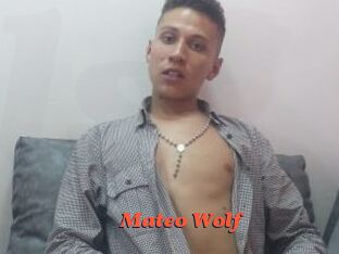 Mateo_Wolf