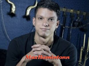 MaxHamintonn