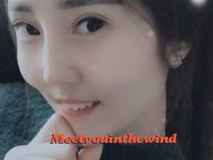 Meetyouinthewind