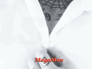 MegaMax Livespot