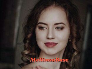 MellinsaBase