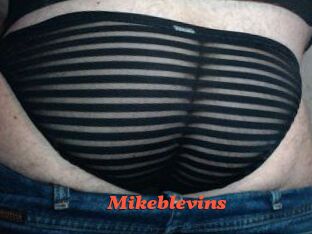 Mikeblevins
