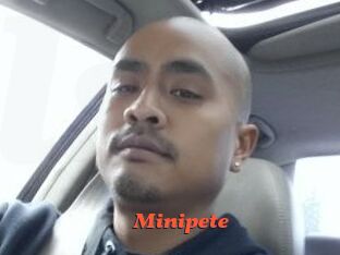 Minipete