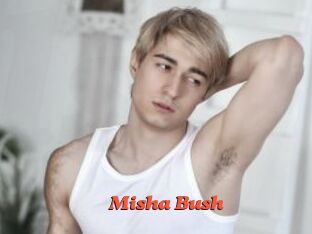 Misha_Bush