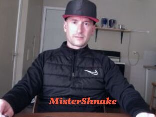 MisterShnake