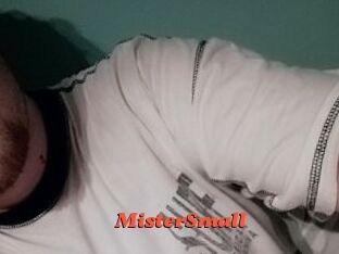 MisterSmall