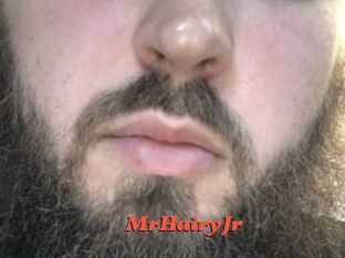 MrHairyJr