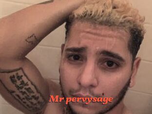 Mr_pervysage
