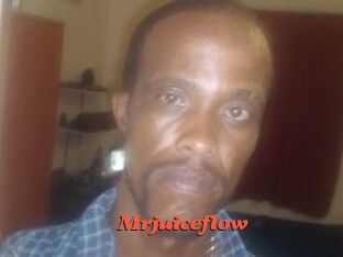 Mrjuiceflow