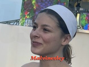 Malvinesley