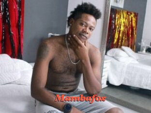 Mambafox