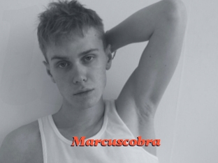 Marcuscobra
