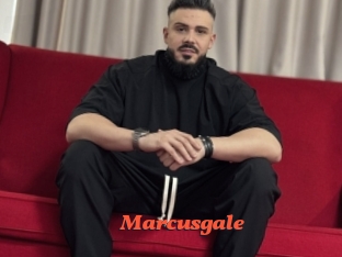 marcusgale Livespot