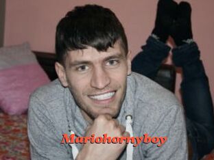 Mariohornyboy
