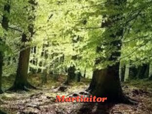 Martiaitor