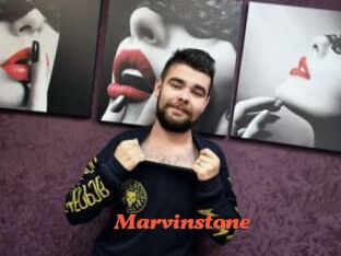 marvinstone Livespot