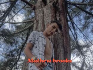 Mathew_brooks