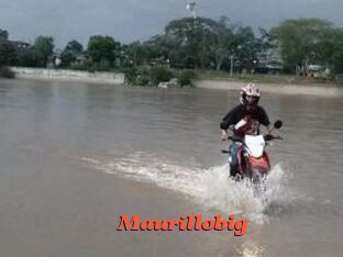 Maurillobig