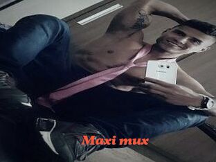 Maxi_mux
