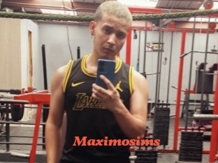 Maximosims
