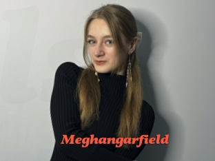 Meghangarfield