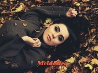Meldesire