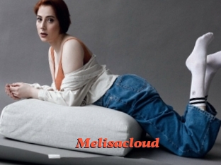 Melisacloud