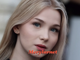 Merylarnet