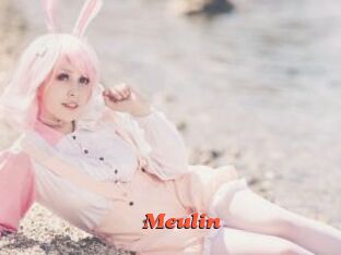 meulin Livespot