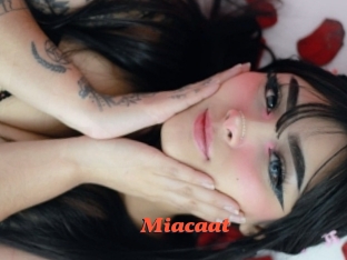 Miacaat