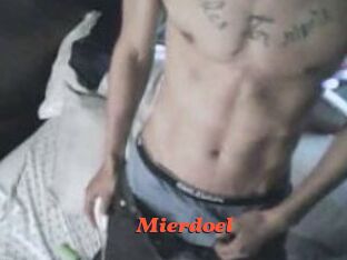 Mierdoel