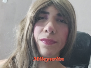 mileyarlin Livespot