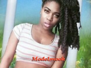 Modelmook