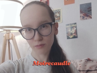 Moirecaudle