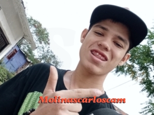Molinascarloscam