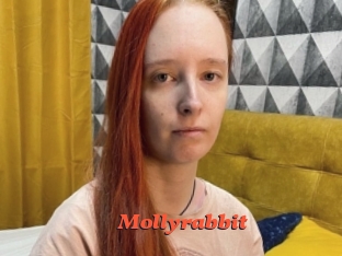 Mollyrabbit