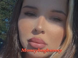 Moneybagbunny