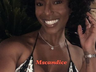 Mscandice