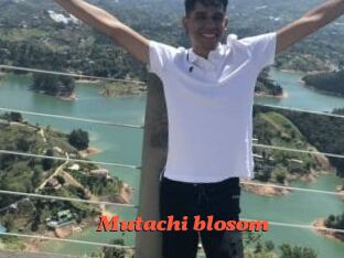 Mutachi_blosom