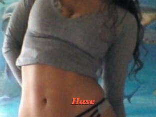 Hase