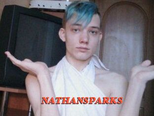 NATHAN_SPARKS