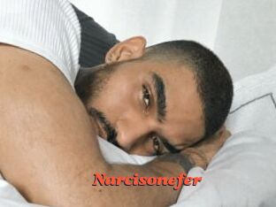 Narcisonefer