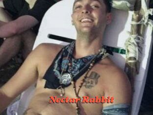 Nectar_Rabbit