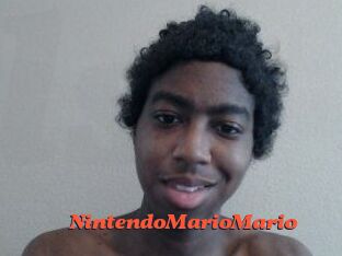 NintendoMarioMario
