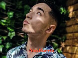 NoaHarris