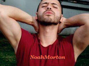NoahMorton